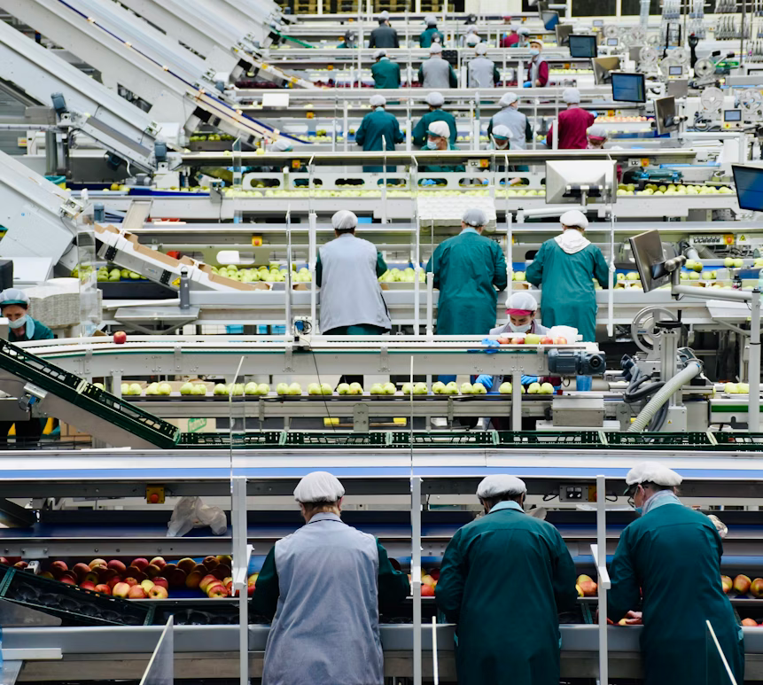 Proceso productivo en planta